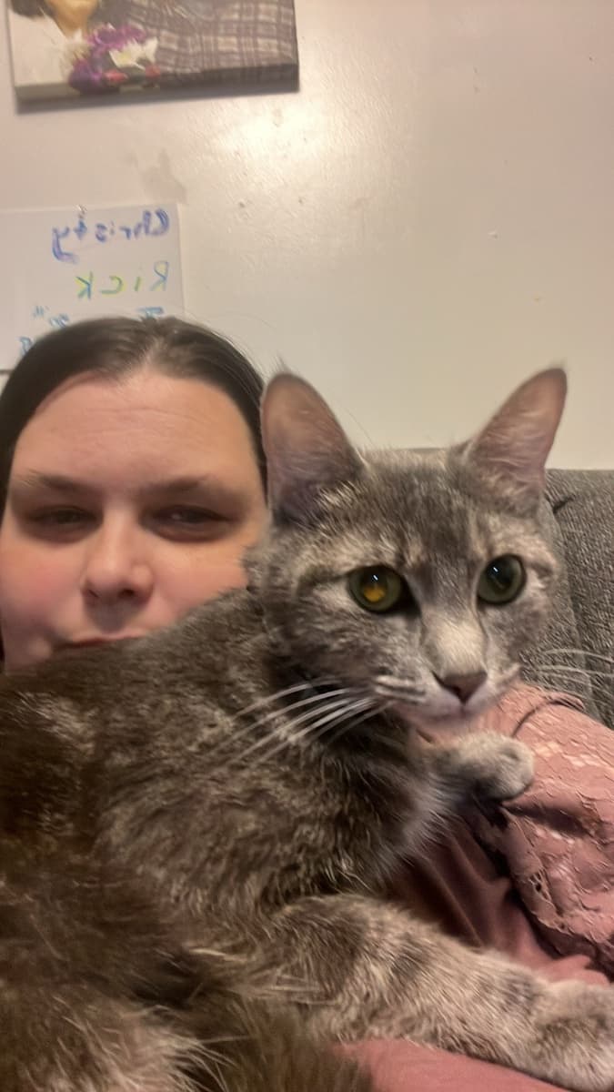 Photo of Christy Chapman