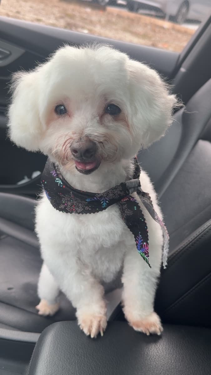 Photo of Jiggie Julian