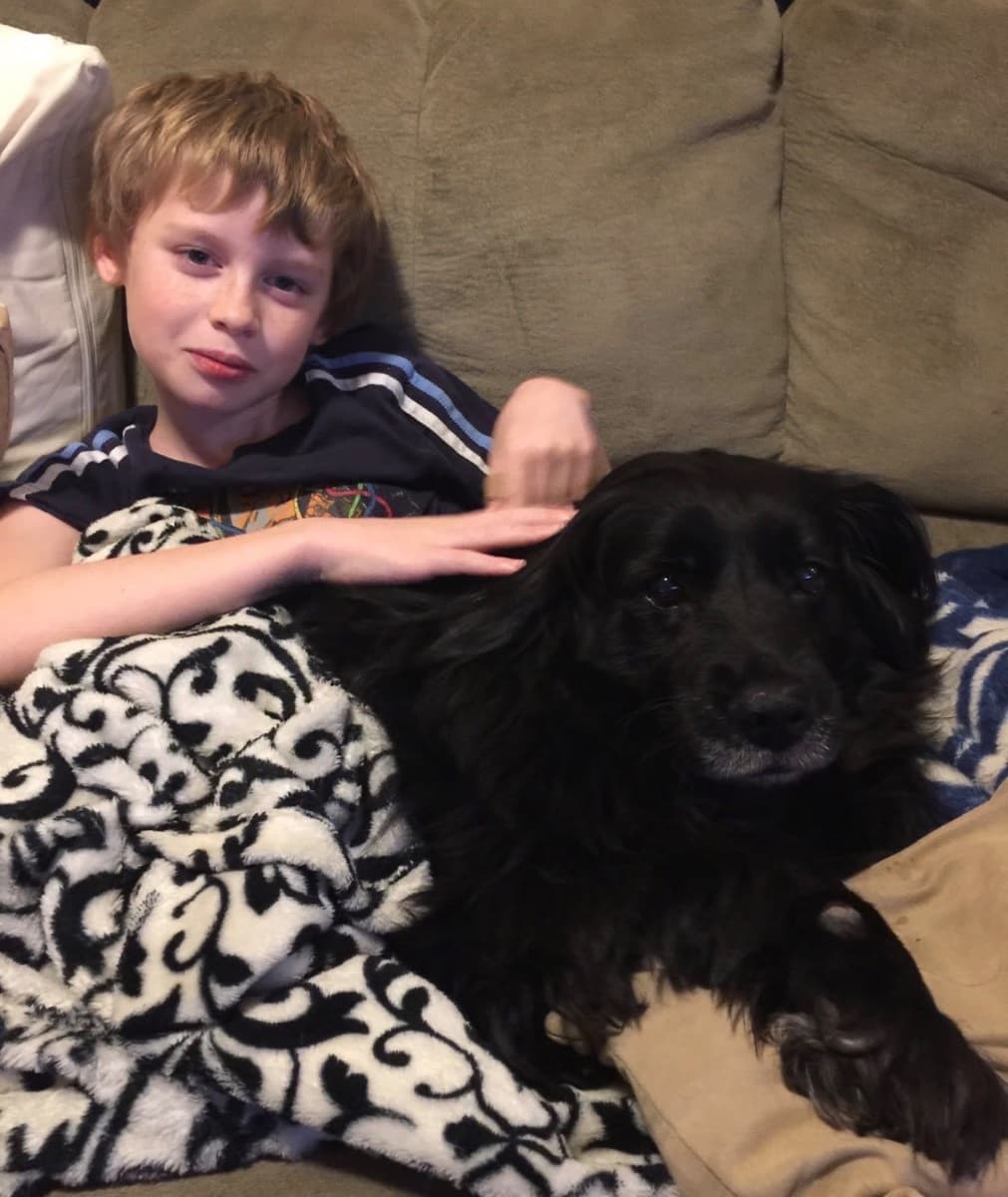 Photo of Mark R. Levin