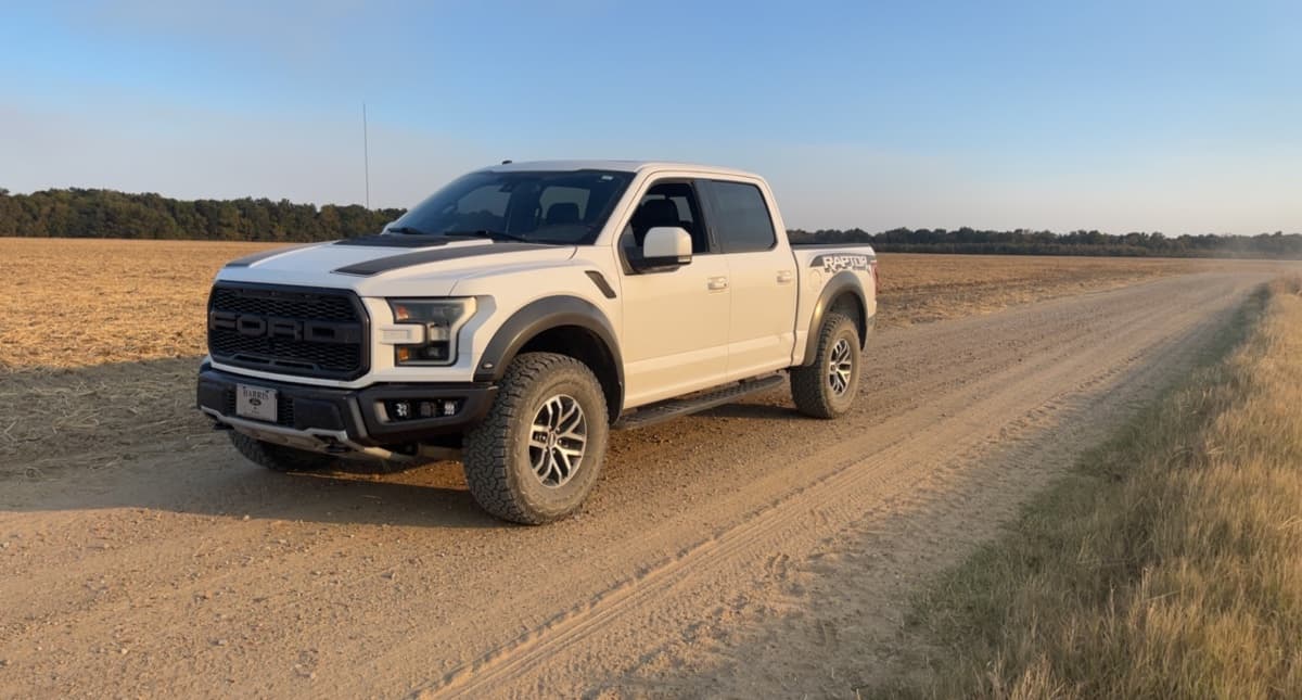 Photo of The white raptor