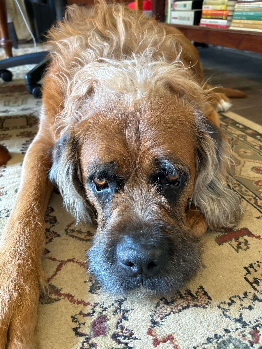 Photo of Kelly Thompson