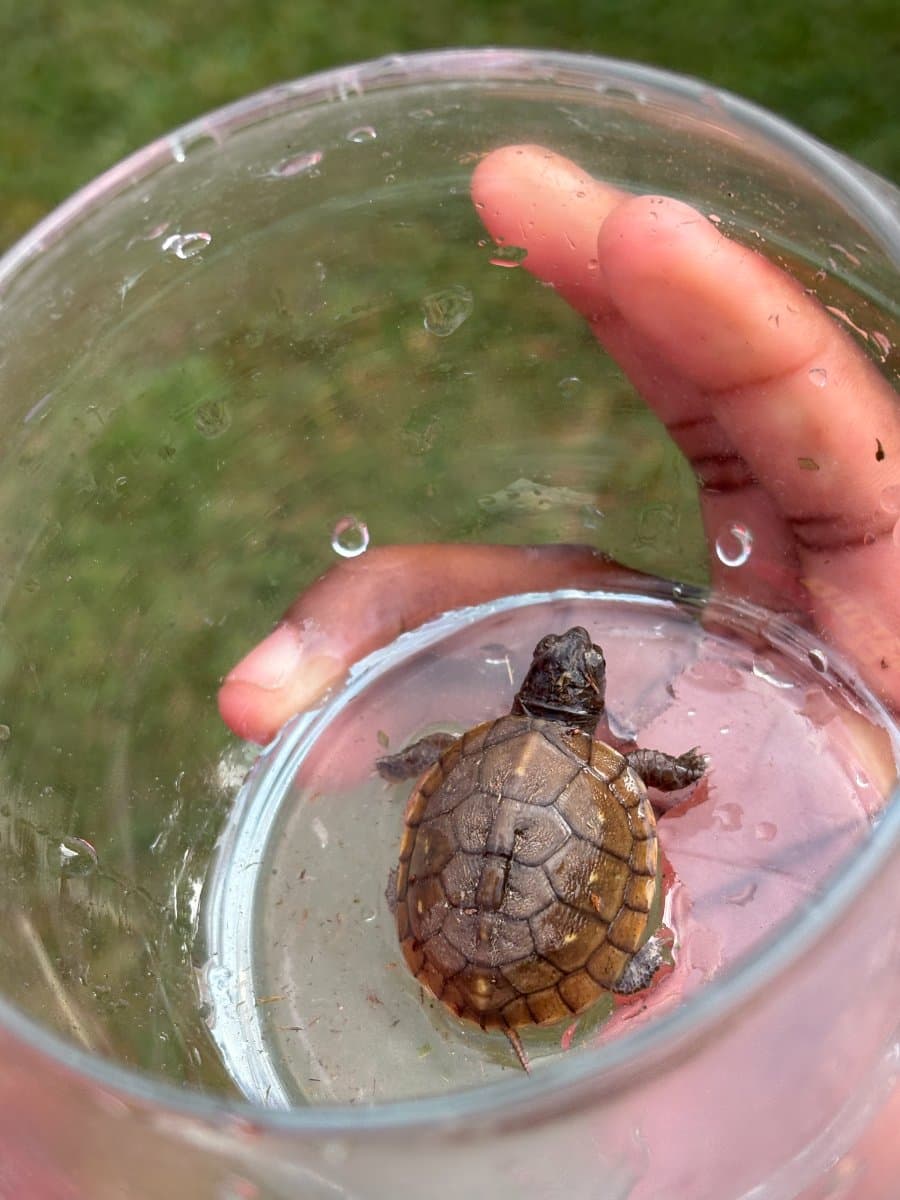 Photo of Milo Galimore