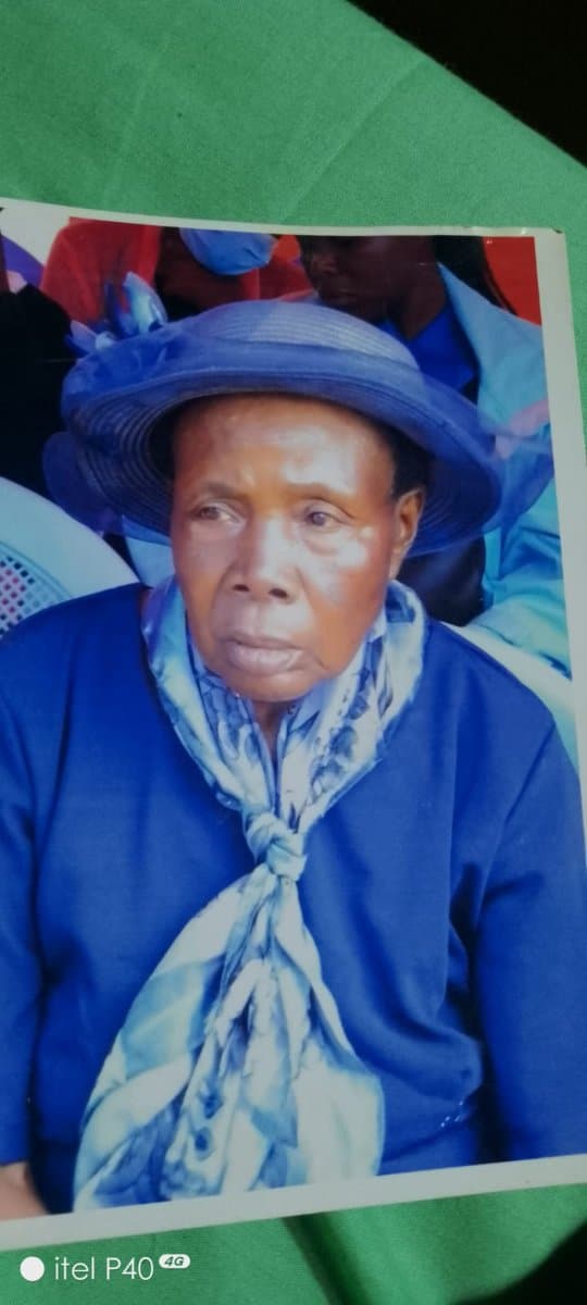 Photo of MAYI JOINA NEKOYE MAKAWA