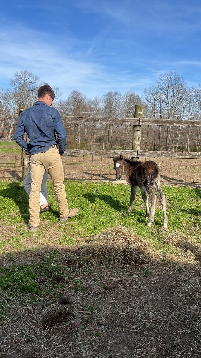 Photo of Cherokee Spirit