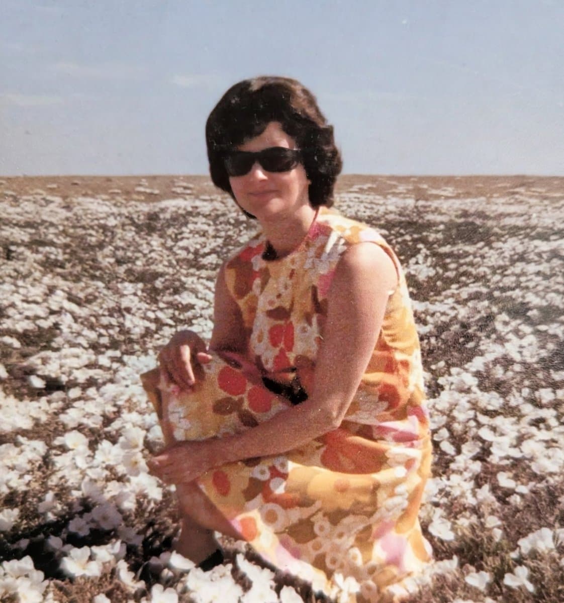 Photo of Donna L Jackson