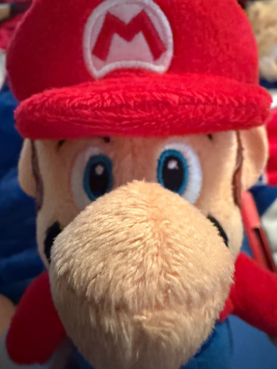 Photo of Mario Sans