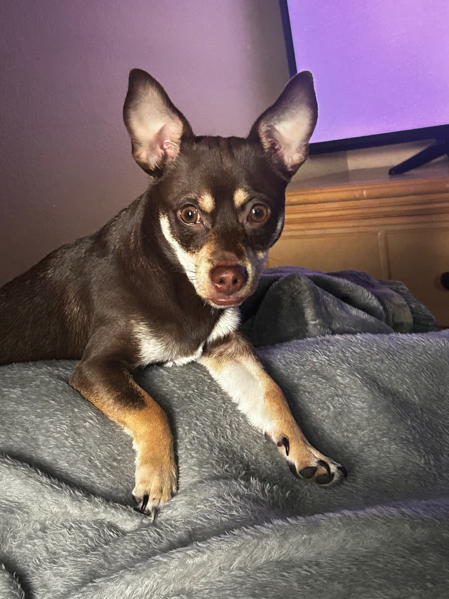 Photo of Roscoe McClendon