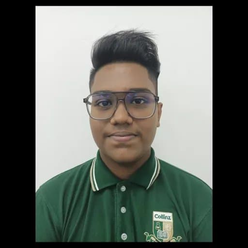 Photo of Ritesh Roy