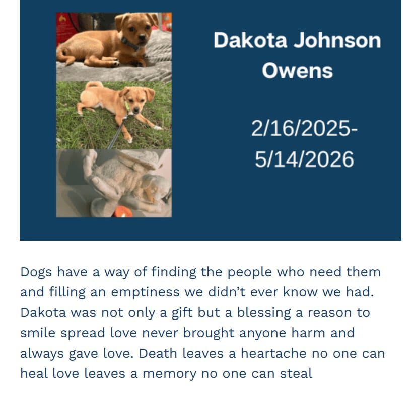 Photo of Dakota Owens