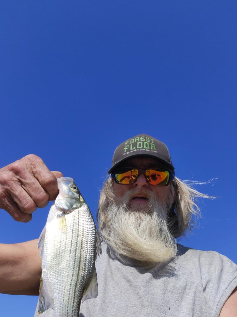 Photo of Robert Edward Norberg