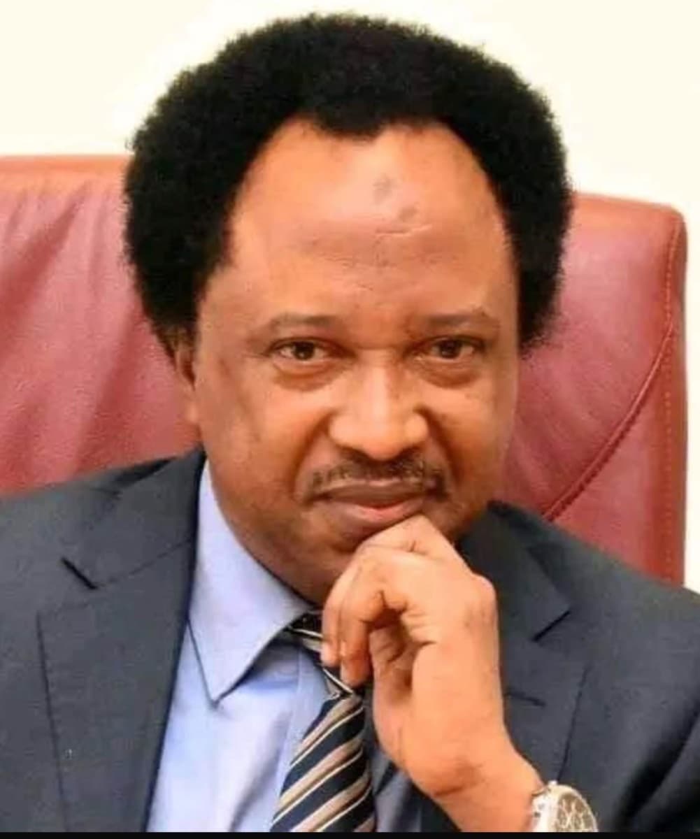 Photo of Allen adewoye