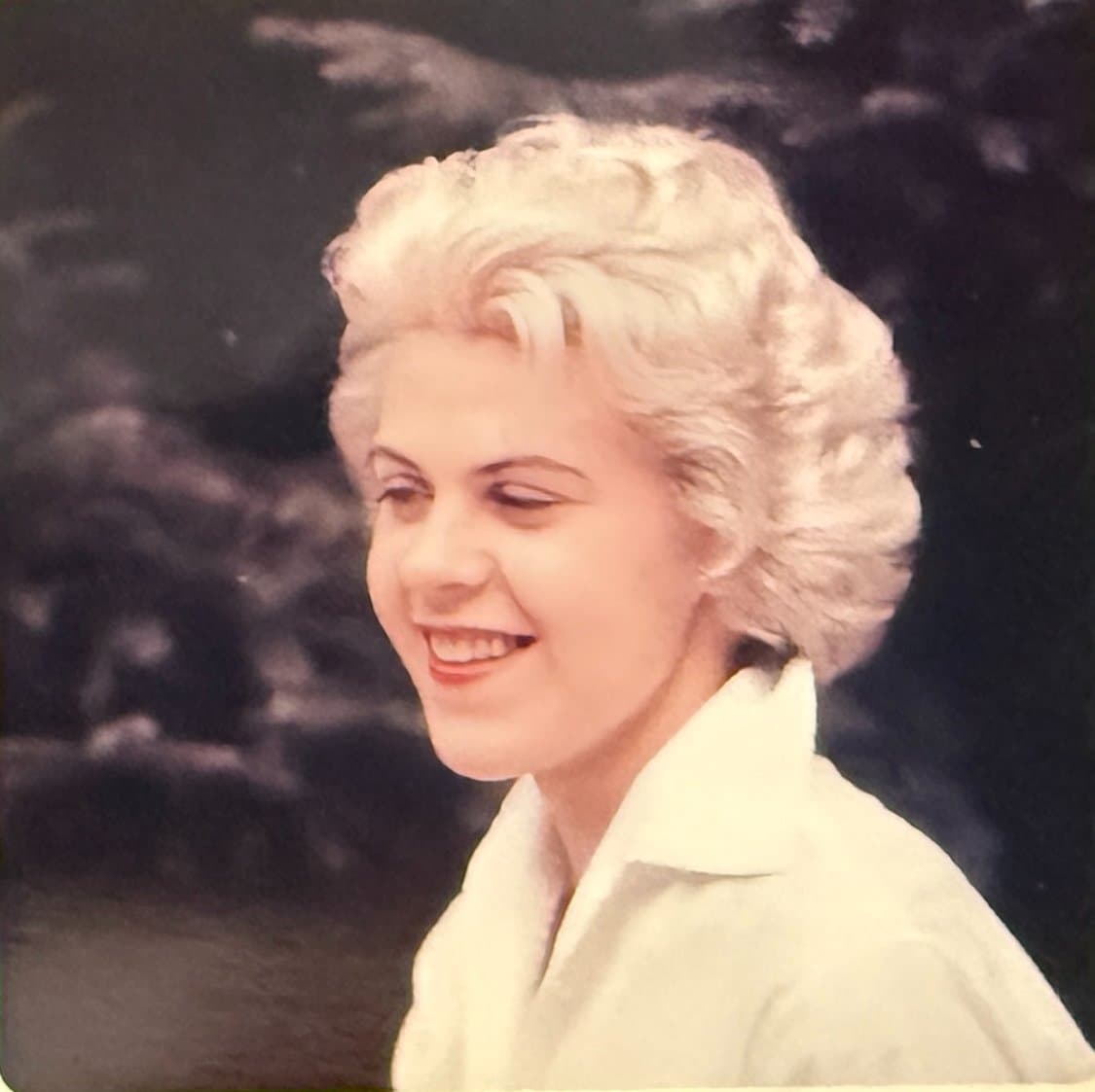 Photo of Janice DeStefani